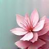 Sakura Living Solutions Footer Logo